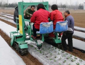 移栽機(jī)工作原理及適用范圍