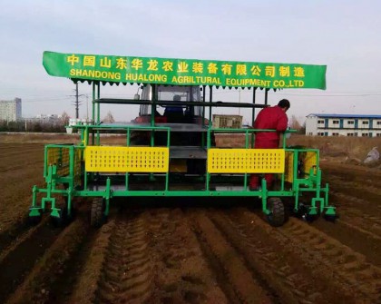 構(gòu)樹、桑樹、樹苗移栽機(jī)