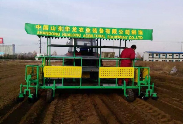 構(gòu)樹、桑樹、樹苗移栽機