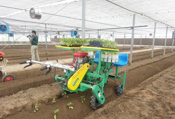 西紅柿、甜菜、甘藍移栽機